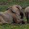 Woodbury Tented Camp