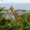 Woodbury Tented Camp