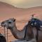 Riad Aicha & Camel Trekking - 梅尔祖卡