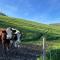 Schwarzwald - Schöne, ruhige Auszeit in der FeWo - Im Grünen