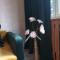Green apartament w Centrum