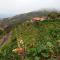 Casa Rural Quilla