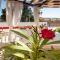XXXL Villa Ancora with heated pool