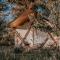 Salterra Glamping