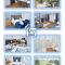 Orion House - sleeps 6, driveway, garden