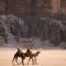 Milky Way Bedouin Camp