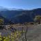 Old Halidzor
