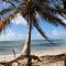 Studio Ti Karanbol RDC vue mer dans Résidence de Tourisme - Sainte-Anne