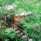 Hau Eco Lodges Citumang Pangandaran - 庞岸达兰