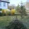 Drawa Resort