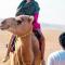 Luxury Desert Camp Oman
