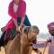 Luxury Desert Camp Oman