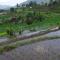 Janas Homestay