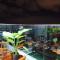 Casa Alanna@Icon Residence with Pool - 瓜拉丁加奴