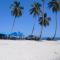 Caoba Foto: Caoba