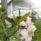 Dangerfield Oaks Boutique Cottages