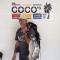 Cocos Guest House