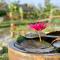 Mekong Cozy Travel Breakfast TwoBoatTours Included for 2nights