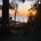 Seagrass on Sunset Bay