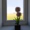 Auckland View - a comfy & spacious 4bed with views