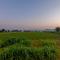 StayVista's Lake La Vie - Tranquil Lake-View Villa Amidst Farmland with Pool and Poolside Gazebo - Proximity to Sula - Насик