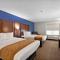 Comfort Inn & Suites St Louis-Hazelwood