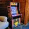 Lakefront Log Cabin Loft Kayaks Beach Ev - بلاك ريفير فولز