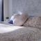 Cozy 1BR Apartment in the heart of Canberra