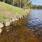 Sanctuary at Norway Lake - Includes Pontoon Boat - Pine River