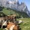 Casa di vivian in montagna con giardino Alpe di siusi Fie allo sciliar Bolzano