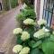 GuesthouseOne