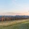 Borrodell Vineyard