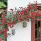 Wonderful 4 Bedroom Villa & separate guest house Villa Thalia