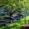 Valea Doftanei Glamping