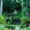Wonderland