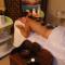 Hotel Bansko SPA & Holidays - Free Parking