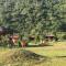Nayar Valley Retreat