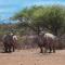 Naankuse Lodge - Windhoek