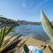 Agave direclty on the beach - Goelba