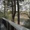 The River House - Ellijay