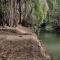 The Wild Forest Resorts
