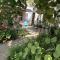 Sea Grape Cottage - At Casas de la Playa Central