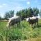 De Skure: vakantiewoning op boerderij - Harelbeke