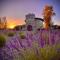 Lavender Castle - Sequim