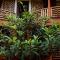Elite Backpackers Services