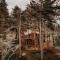 Treehouse-Small Eagles Perch over the water