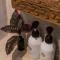 KIMA Serviced Beach House & Suites