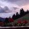 Chalet in Funes Valley with Dolomites Views