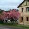 The Pill Factory-voted Bundanoon’s favourite building - Bundanoon