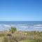 Sand Dollar 402